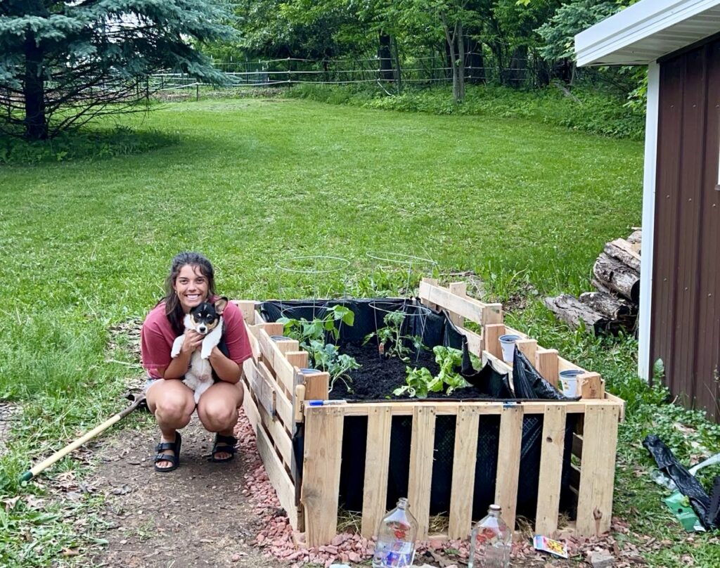 homestead gardening