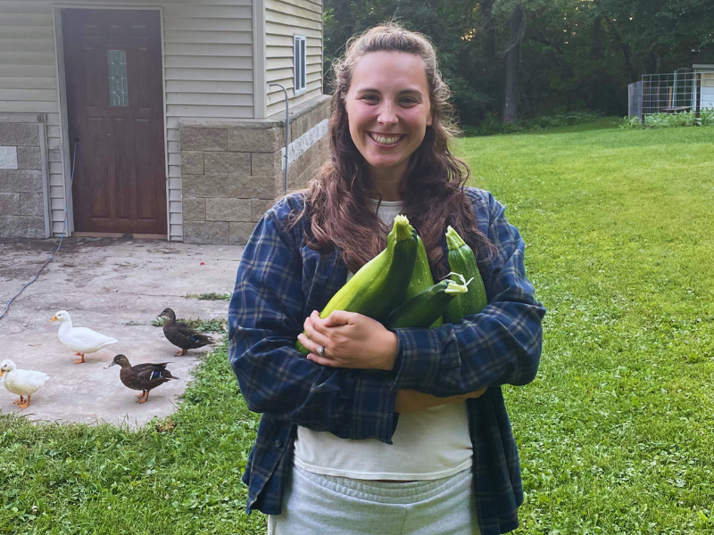 zucchini harvest