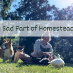 Homesteading: The Sad Part