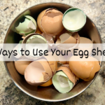 5 ways to use your egg shells