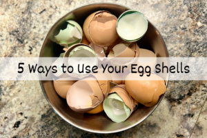 Read more about the article 5 ways to use your egg shells